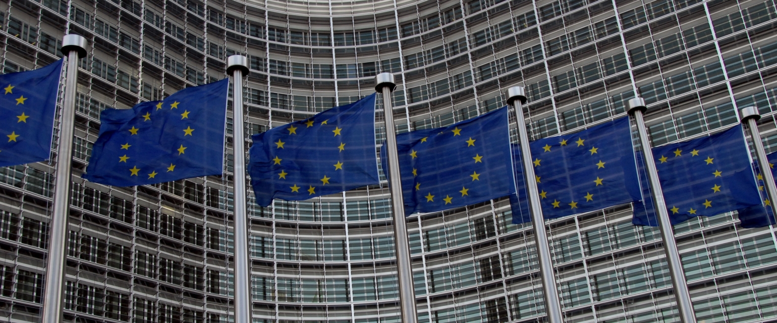 Соглашение об ассоциации отдаляет Украину от вступления в ЕС